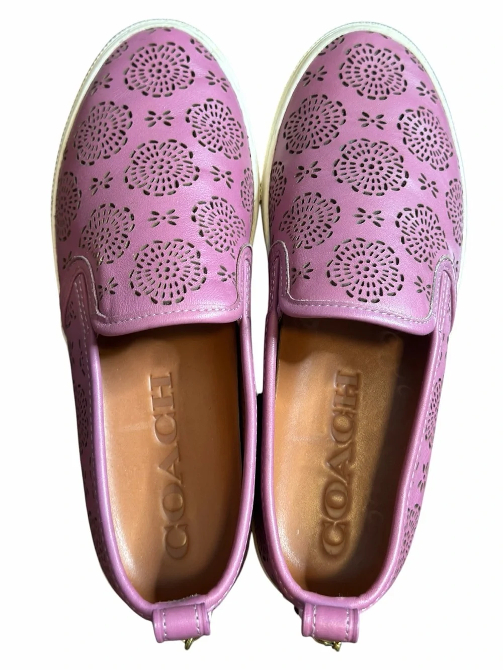 Coach c115 laser